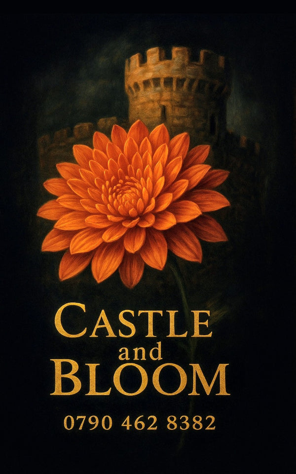 Castle and BLOOM
