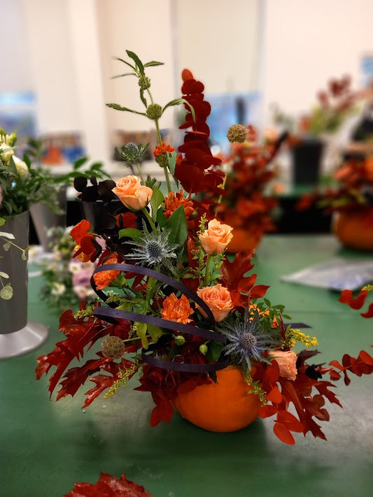 Autumn Pumpkin workshops